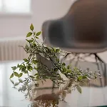 Tergestroom & Boutique Апарт-отель